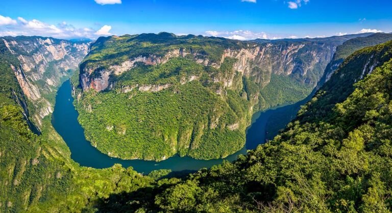 Chiapas Selvático