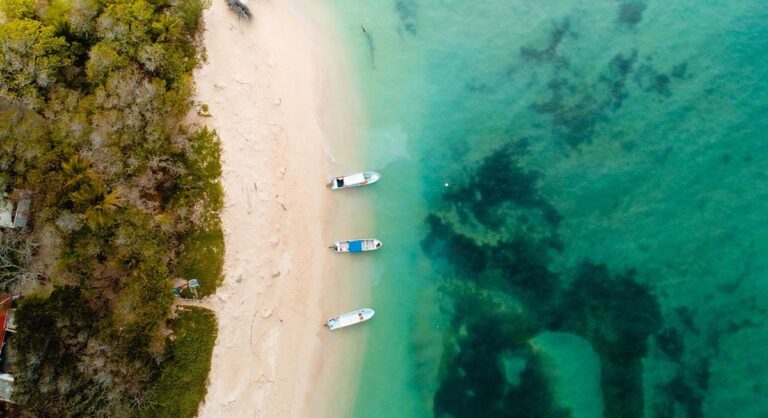 Isla de Enmedio